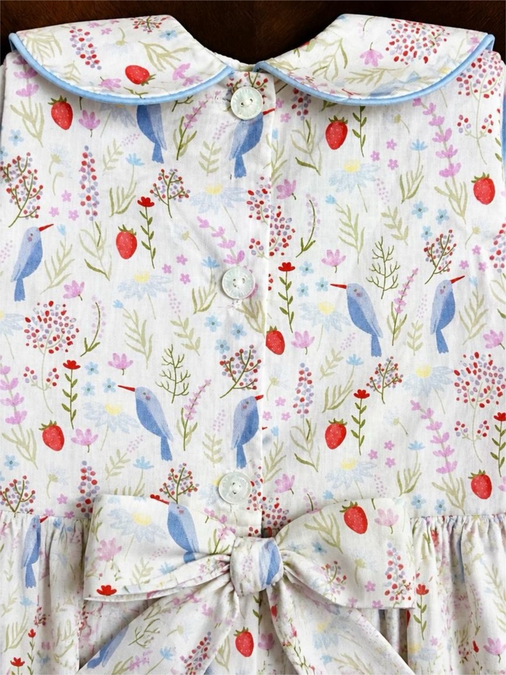Anavini Girls 24M Hand Smocked Dress Strawberry Bird Floral Peter Pan Collar - Picture 3 of 6